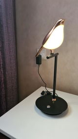Alger H. review photo