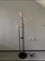 Deborah Novoa review photo