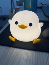eekz review photo