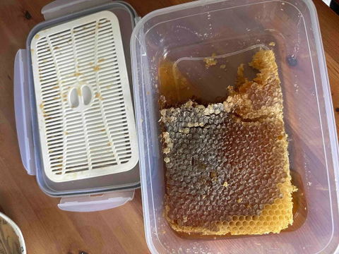 600 Gr Yegens Hakiki Karakovan Balı | TA17.5+ | 900 Prolin | Erzincan - Kemah | Doğal Karakovan Balı