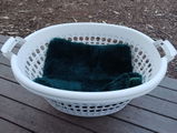Shelley R. review photo
