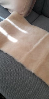 L.O. review photo