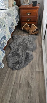 Dolly review photo