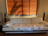 Alevtina K. review photo