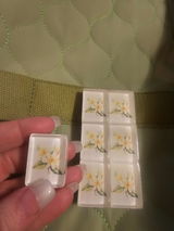 Pathy Sellars review photo