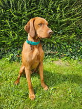 Brice review photo