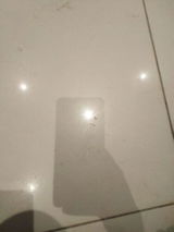 Rachel Z. review photo