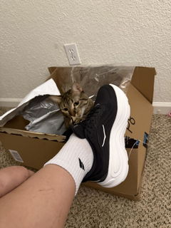 Review picture