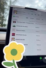 A***A review photo