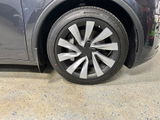 Tara review photo