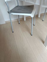 Jacobus van Belzen review photo