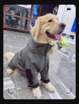 Harvey review photo