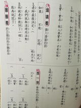 Peihan Wang review photo
