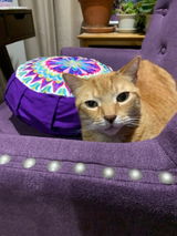 Etsy customer review photo