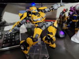 R. M. review photo