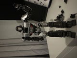 Shockwave review photo