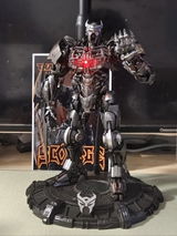 Petrushin I. review photo