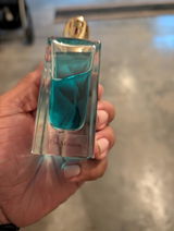 Ernest W.S.I. review photo