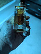 Ernest W.S.I. review photo