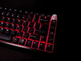 Animayyo review photo