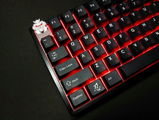 Animayyo review photo