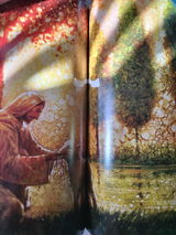 Andrea Kimber-Locke review photo