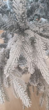 Alina review photo