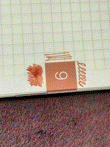 C. review photo
