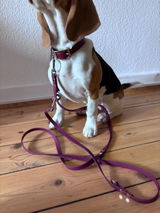 Stina-Josefine P. review photo