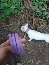 Ilka S. review photo