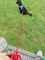 Birgit review photo