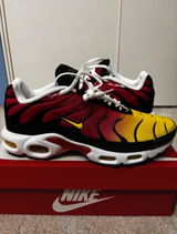 Lorenzo Tia review photo