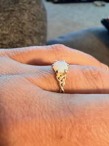 Chad R. review photo