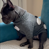 Max (French Bulldog) review photo
