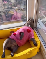 Chloe review photo