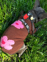 Bonya review photo