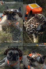 Max review photo