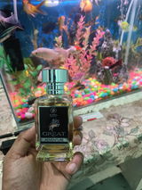 Taha Siddiqui review photo