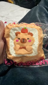 YOYOSQUISHY Animal Toast Series Blind Box 🐾🍞🎁