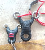Ulysse Denis review photo