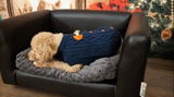 Relaxing Rosie review photo