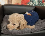 Relaxing Rosie review photo