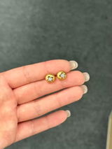 Ryan Scott review photo
