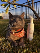 Sachie Y. review photo