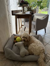 Jutta review photo
