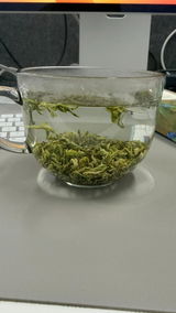 Customer photo of Anji Bai Cha Green Tea