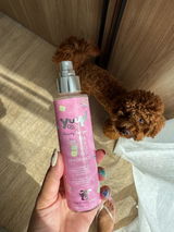 Landothedubaipoodle review photo