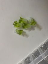 Vini review photo