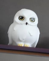 L.S. review photo