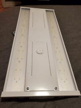 Elvis Gratton review photo